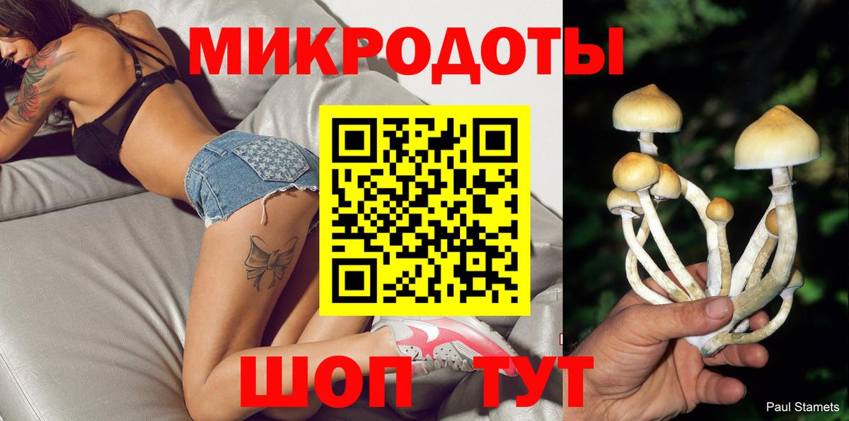 Псилоцибиновые грибы мицелий Еманжелинск