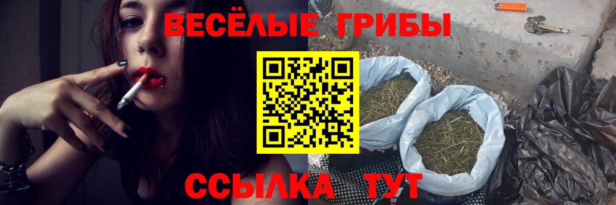 Еманжелинск  Псилоцибиновые грибы мицелий  Вход с VPN 